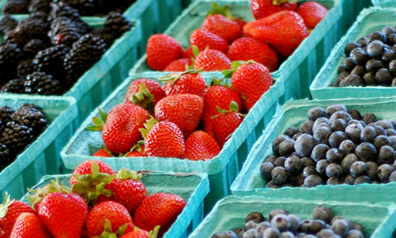 slideshutterstock 47876986220