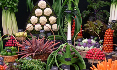 slideshutterstock 47876986227